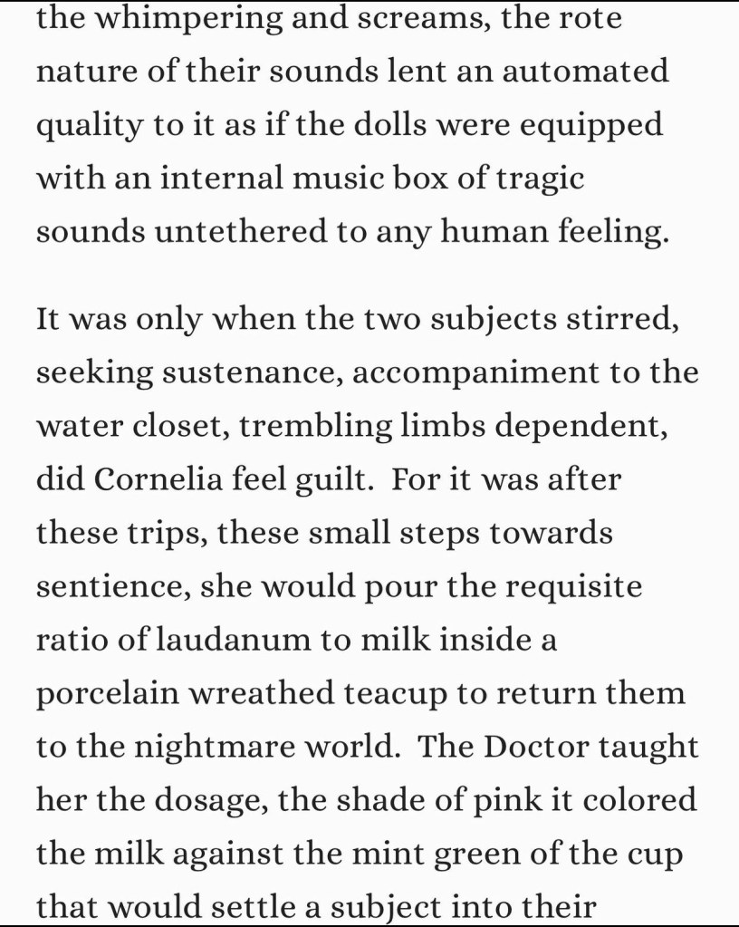 This image has an empty alt attribute; its file name is img_5513-3.jpg